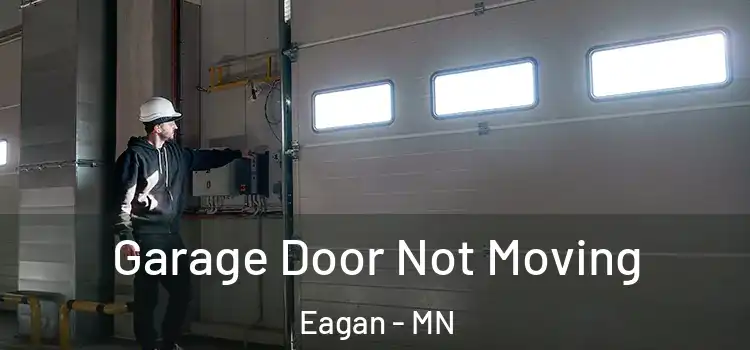  Garage Door Not Moving Eagan - MN