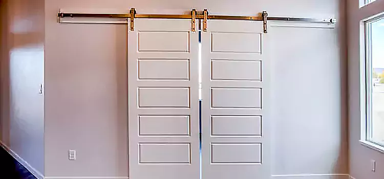 Glass Barn Door with Installation Hardware Kit Eagan