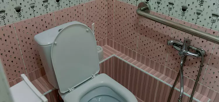 Meeting Diverse Needs With Accessible Restroom Solutions in Eagan, MN